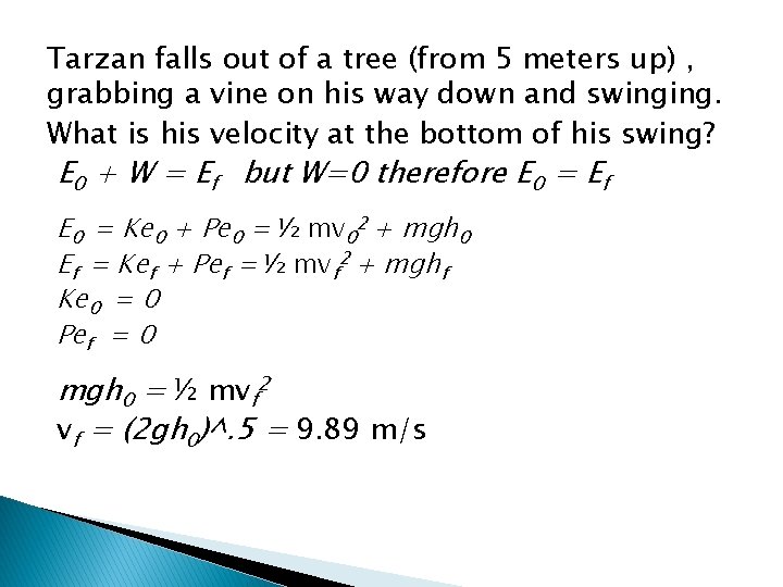 Tarzan falls out of a tree (from 5 meters up) , grabbing a vine