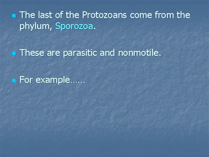 n The last of the Protozoans come from the phylum, Sporozoa. n These are