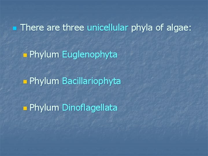 n There are three unicellular phyla of algae: n Phylum Euglenophyta n Phylum Bacillariophyta