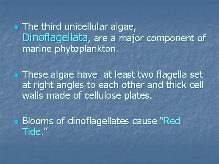 n n n The third unicellular algae, Dinoflagellata, are a major component of marine