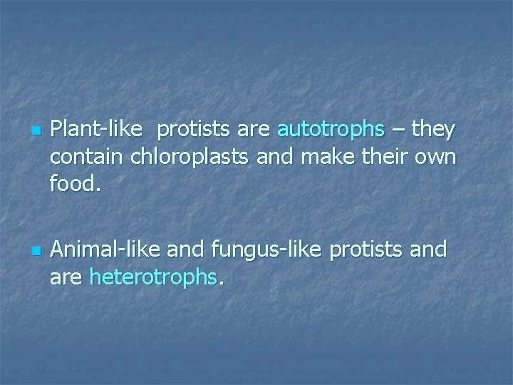 n n Plant-like protists are autotrophs – they contain chloroplasts and make their own