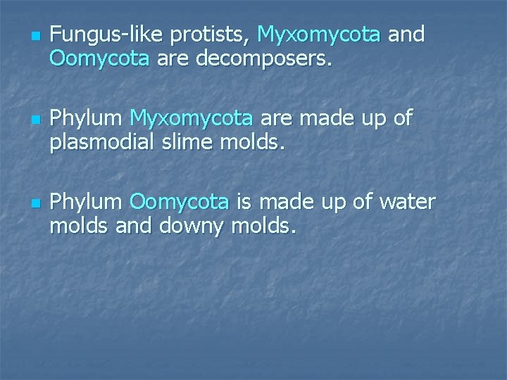 n n n Fungus-like protists, Myxomycota and Oomycota are decomposers. Phylum Myxomycota are made
