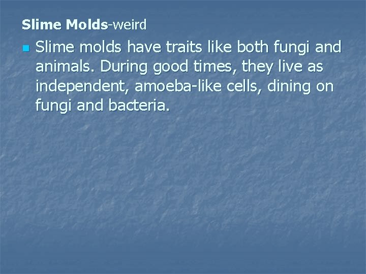 Slime Molds-weird n Slime molds have traits like both fungi and animals. During good