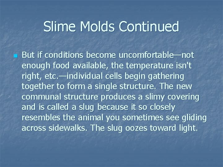 Slime Molds Continued n But if conditions become uncomfortable—not enough food available, the temperature