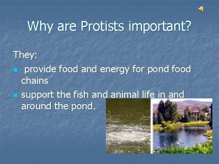 Why are Protists important? They: n provide food and energy for pond food chains