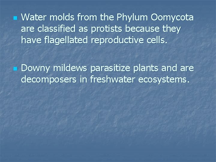 n n Water molds from the Phylum Oomycota are classified as protists because they