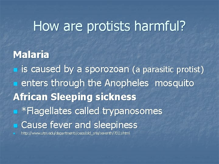 How are protists harmful? Malaria n is caused by a sporozoan (a parasitic protist)