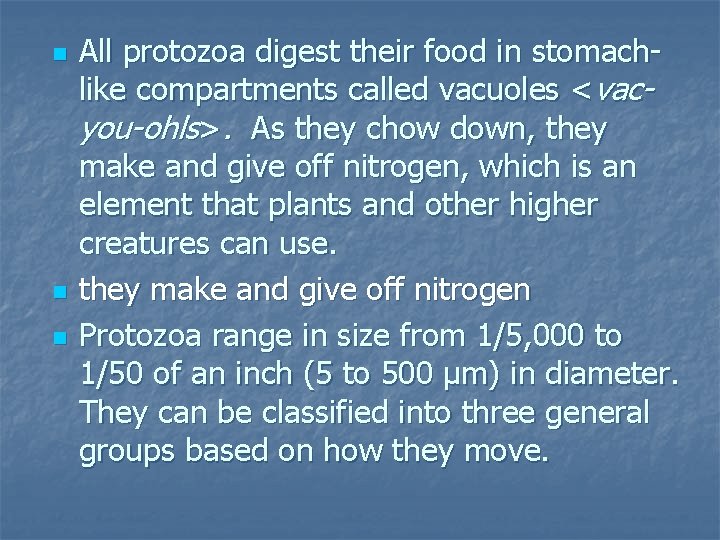 n n n All protozoa digest their food in stomachlike compartments called vacuoles <vacyou-ohls>.