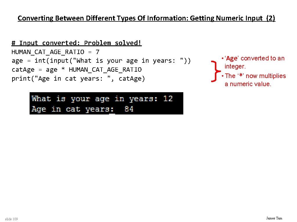 Converting Between Different Types Of Information: Getting Numeric Input (2) # Input converted: Problem