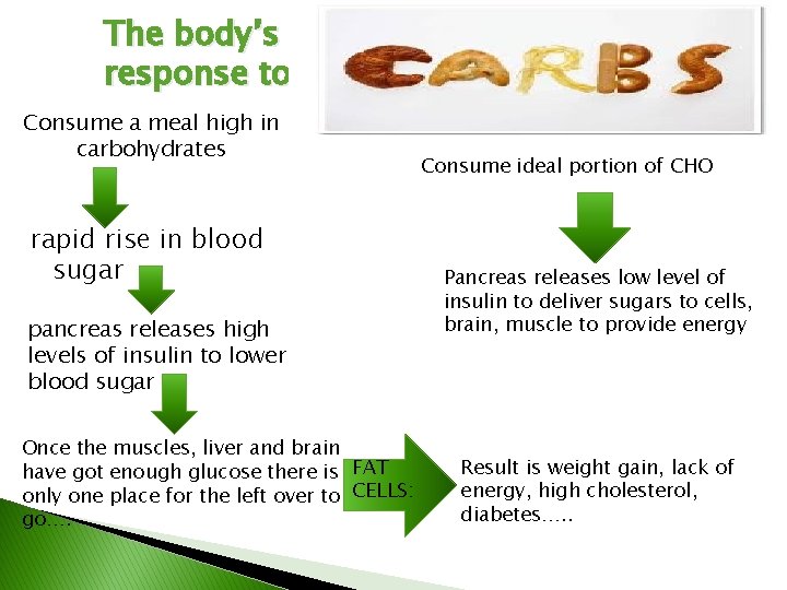 The body’s response to: Consume a meal high in carbohydrates rapid rise in blood