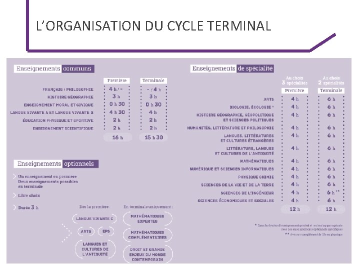 L’ORGANISATION DU CYCLE TERMINAL 