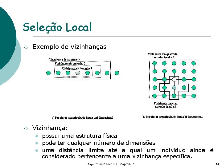 Seleção Local ¡ Exemplo de vizinhanças ¡ Vizinhança: l l l possui uma estrutura