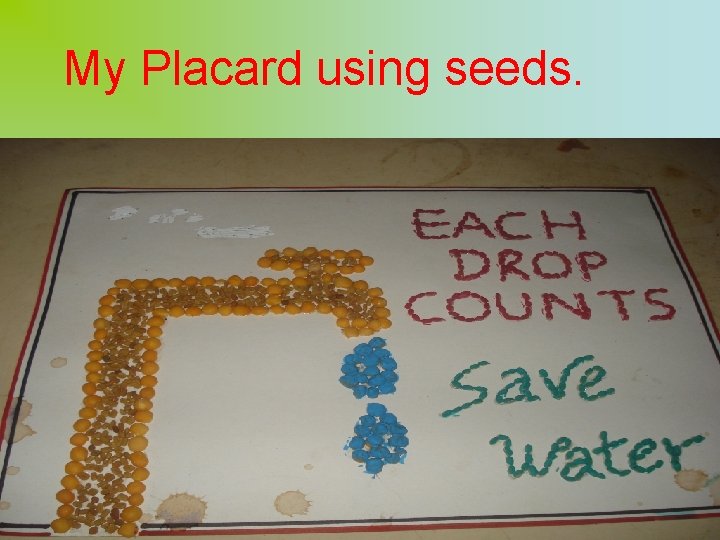My Placard using seeds. 