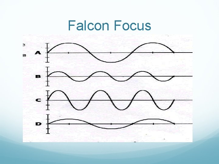 Falcon Focus 