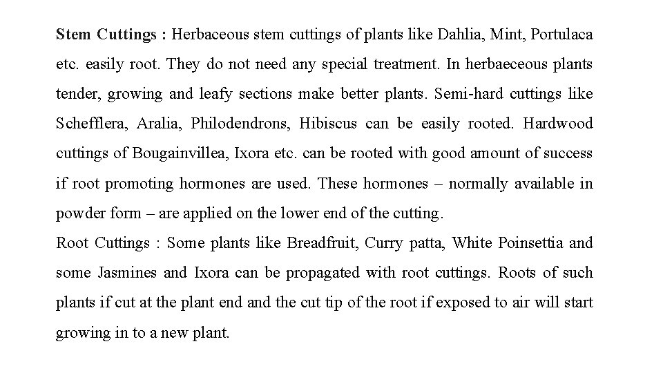 Stem Cuttings : Herbaceous stem cuttings of plants like Dahlia, Mint, Portulaca etc. easily