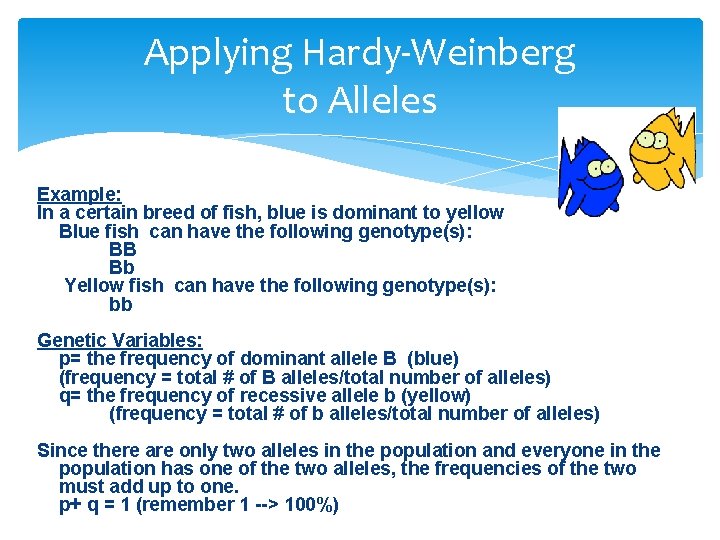 Applying Hardy-Weinberg to Alleles Example: In a certain breed of fish, blue is dominant