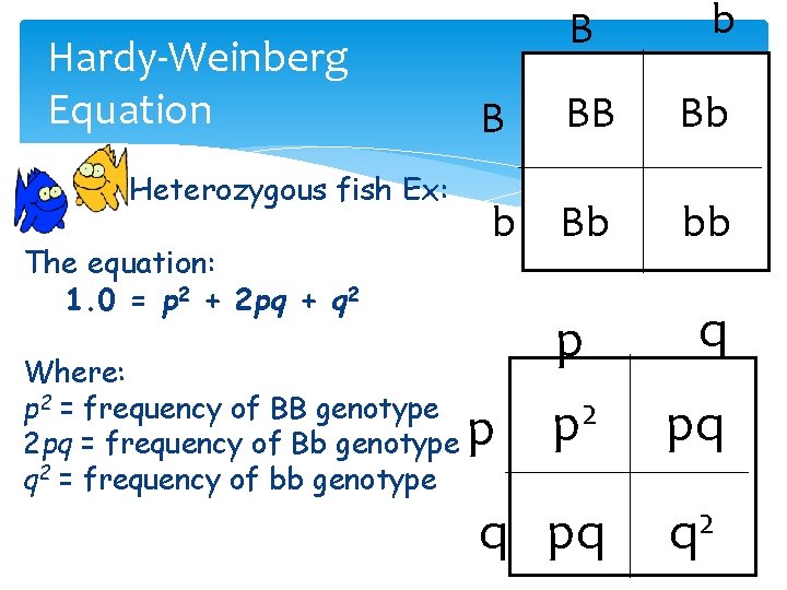 Hardy-Weinberg Equation Heterozygous fish Ex: The equation: 1. 0 = p 2 + 2