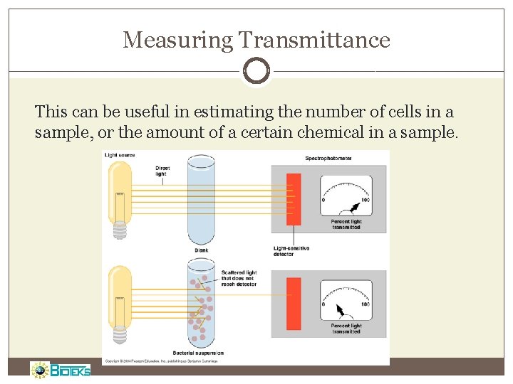 Measuring Transmittance This can be useful in estimating the number of cells in a