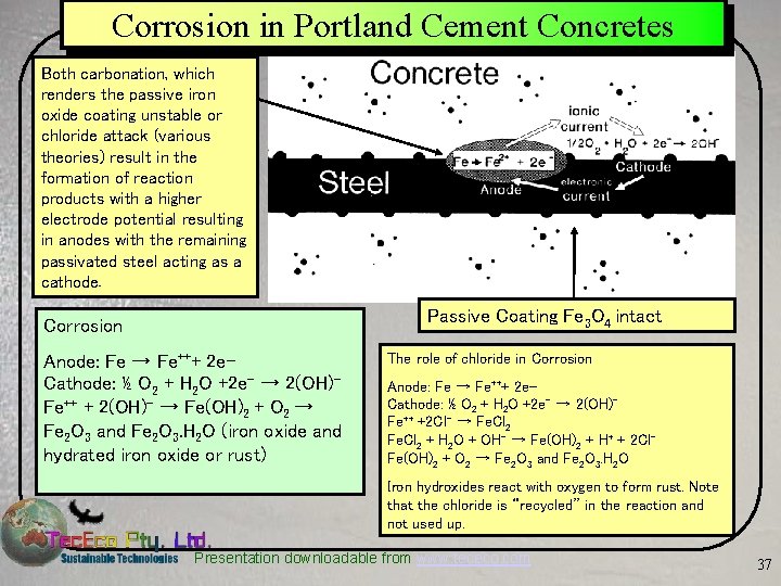 Corrosion in Portland Cement Concretes Both carbonation, which renders the passive iron oxide coating