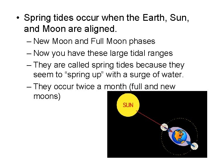  • Spring tides occur when the Earth, Sun, and Moon are aligned. –