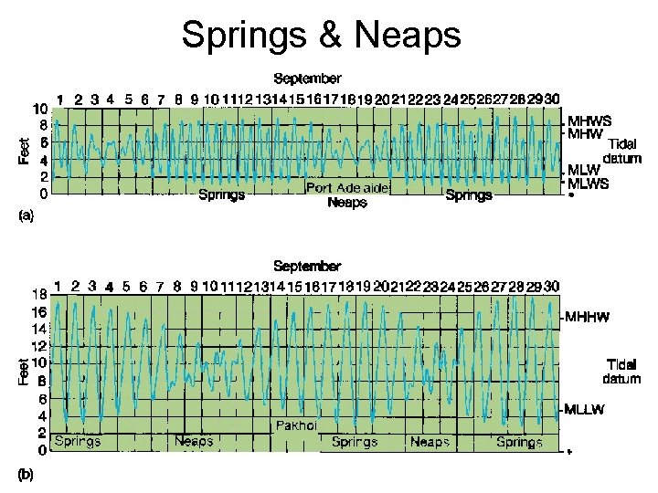 Springs & Neaps 