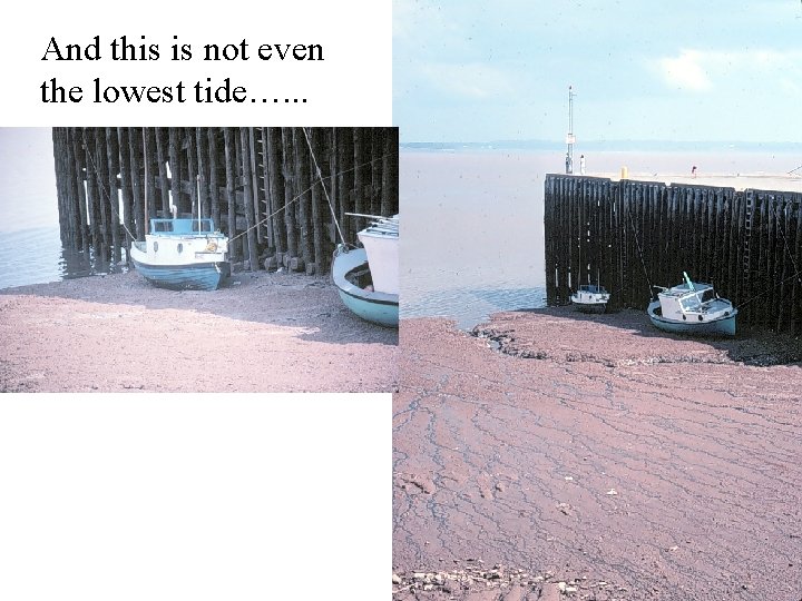 And this is not even the lowest tide…. . . 