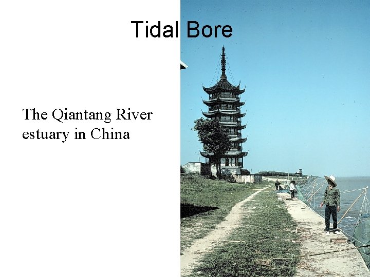 Tidal Bore The Qiantang River estuary in China 