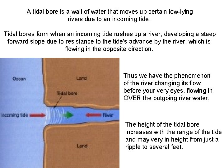 A tidal bore is a wall of water that moves up certain low-lying rivers