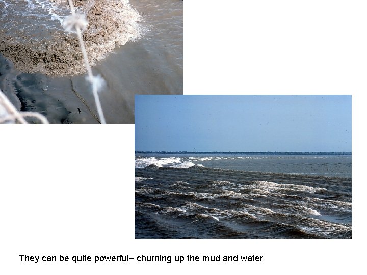 They can be quite powerful– churning up the mud and water 