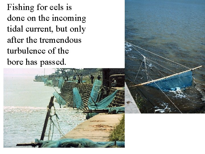 Fishing for eels is done on the incoming tidal current, but only after the