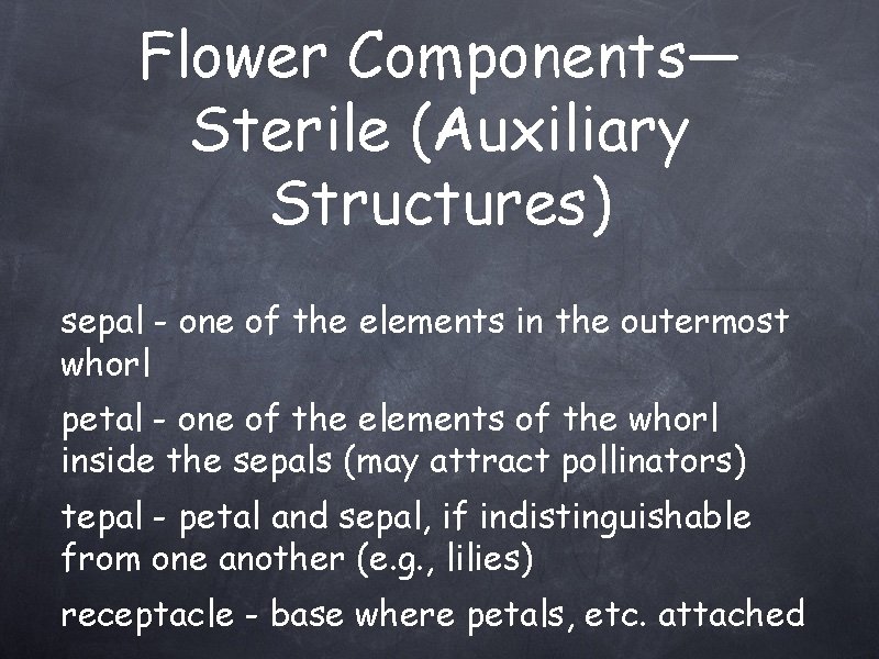 Flower Components— Sterile (Auxiliary Structures) sepal - one of the elements in the outermost