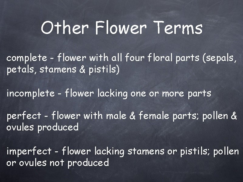 Other Flower Terms complete - flower with all four floral parts (sepals, petals, stamens