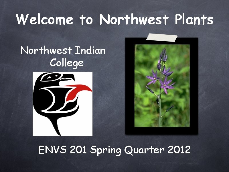 Welcome to Northwest Plants Northwest Indian College ENVS 201 Spring Quarter 2012 