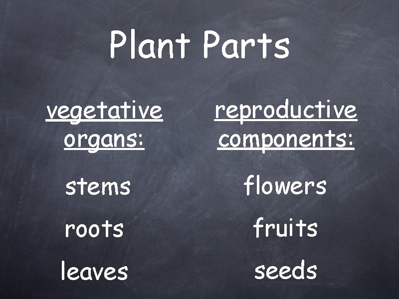 Plant Parts vegetative organs: reproductive components: stems flowers roots fruits leaves seeds 