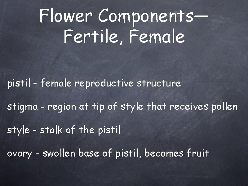 Flower Components— Fertile, Female pistil - female reproductive structure stigma - region at tip