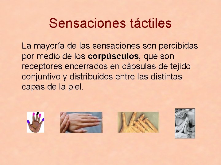 Sensaciones táctiles La mayoría de las sensaciones son percibidas por medio de los corpúsculos,