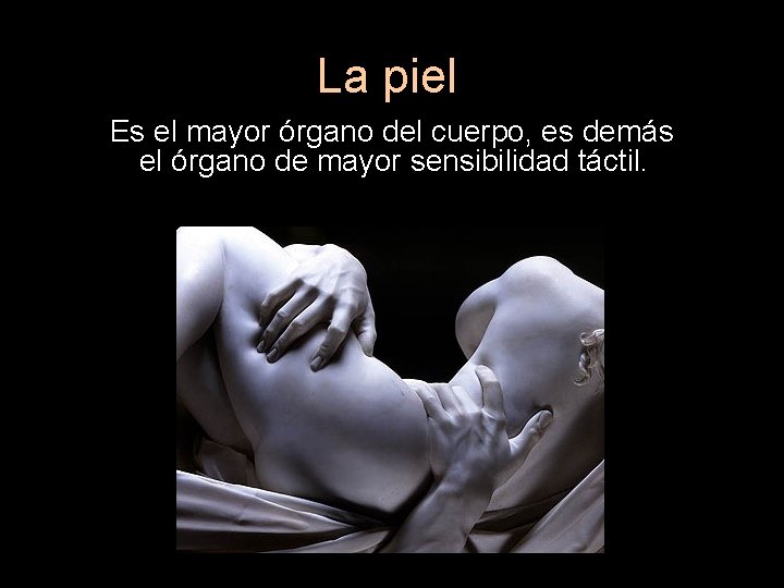 La piel Es el mayor órgano del cuerpo, es demás el órgano de mayor