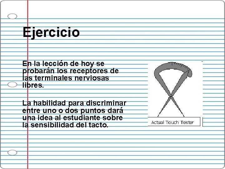 Ejercicio En la lección de hoy se probarán los receptores de las terminales nerviosas