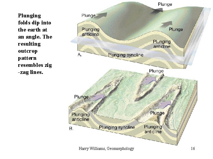 Plunging folds dip into the earth at an angle. The resulting outcrop pattern resembles