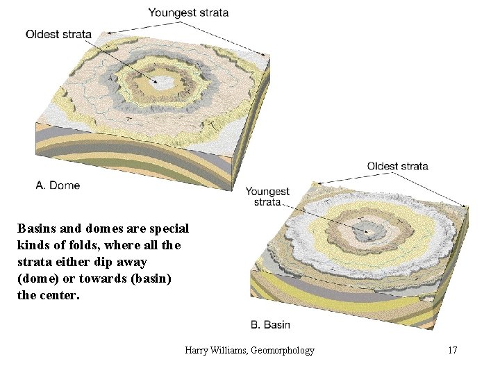 Basins and domes are special kinds of folds, where all the strata either dip