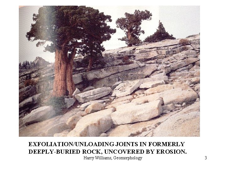 EXFOLIATION/UNLOADING JOINTS IN FORMERLY DEEPLY-BURIED ROCK, UNCOVERED BY EROSION. Harry Williams, Geomorphology 3 