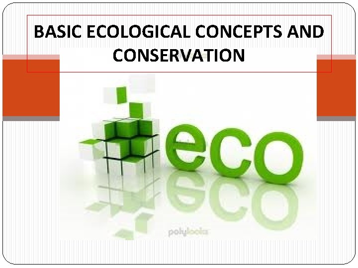 BASIC ECOLOGICAL CONCEPTS AND CONSERVATION 