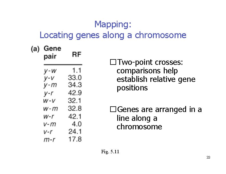 Mapping: Locating genes along a chromosome �Two-point crosses: comparisons help establish relative gene positions