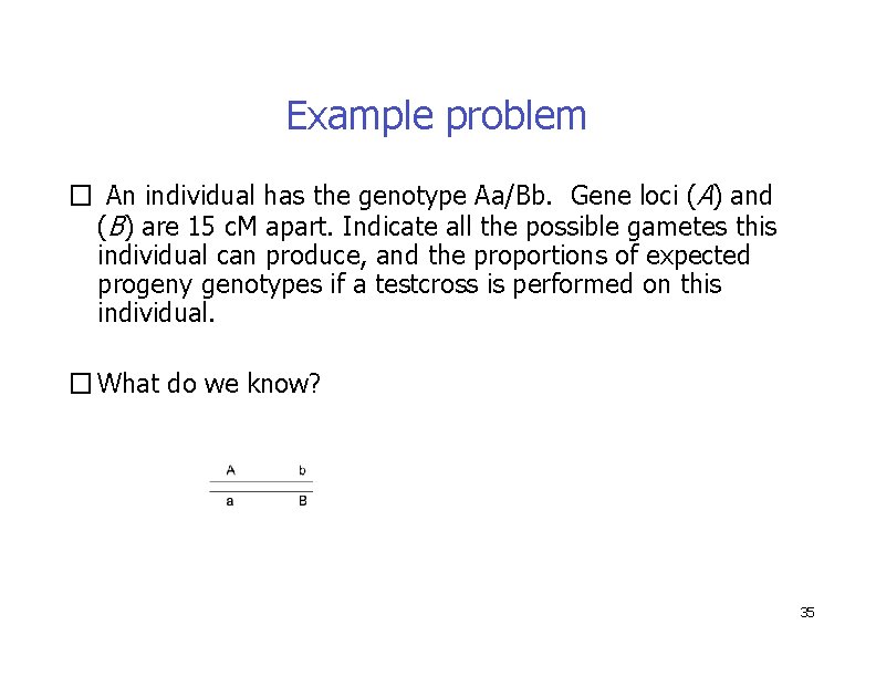 Example problem � An individual has the genotype Aa/Bb. Gene loci (A) and (B)