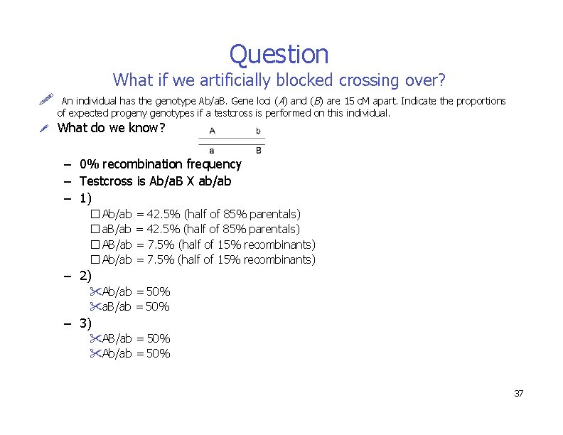 Question What if we artificially blocked crossing over? An individual has the genotype Ab/a.