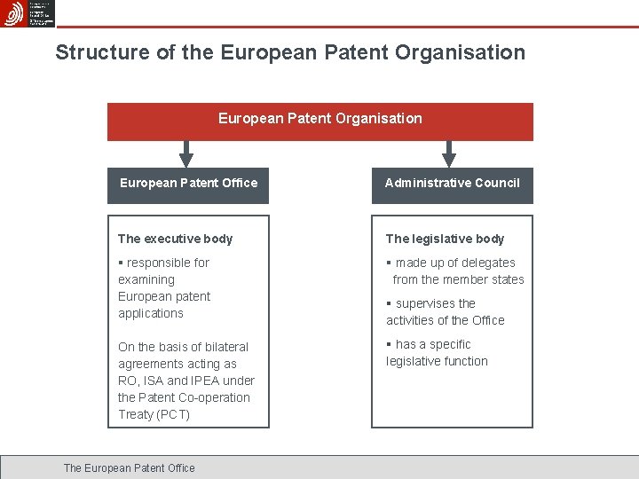 Structure of the European Patent Organisation European Patent Office Administrative Council The executive body