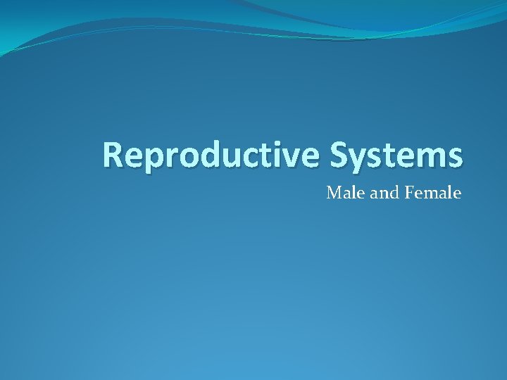 Reproductive Systems Male and Female 