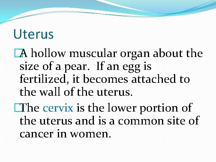 Uterus �A hollow muscular organ about the size of a pear. If an egg