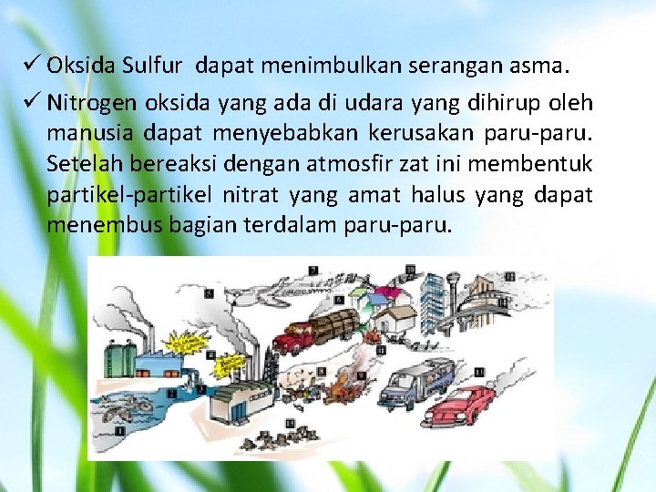 ü Oksida Sulfur dapat menimbulkan serangan asma. ü Nitrogen oksida yang ada di udara