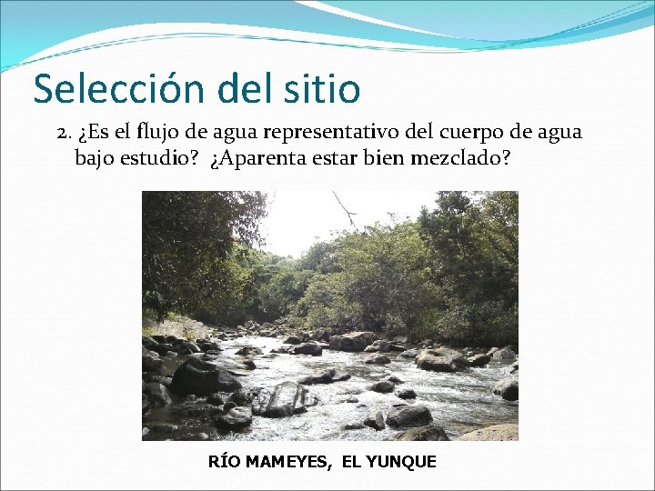 Selección del sitio 2. ¿Es el flujo de agua representativo del cuerpo de agua